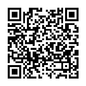 QR code to download Al Rasco Elevator Catalogue PDF